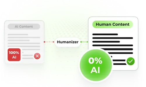 AI Humanizer Process